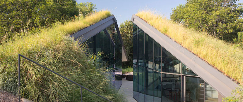 Residential Green Roof Manhattan Beach